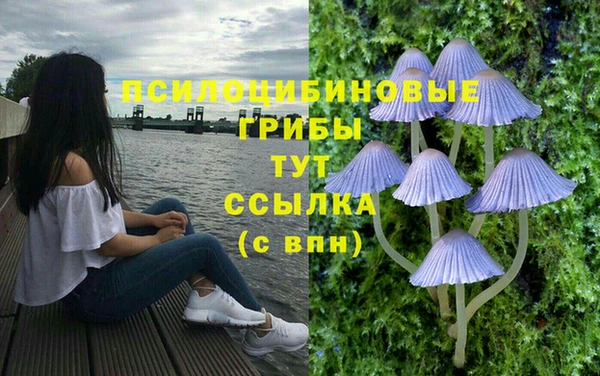 твердый Костерёво