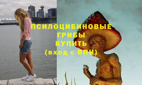 гидропоника Кодинск